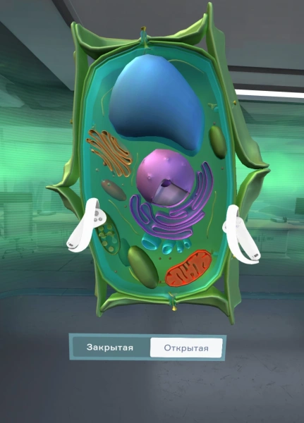VR - комплекс «Биология. Цитология» (5-11 класс)